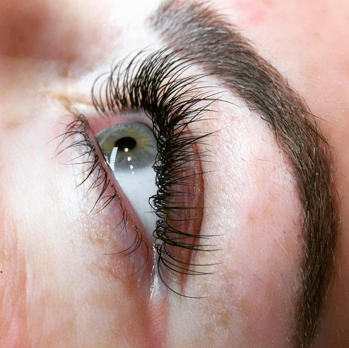 Classic Lashes Small Group Training